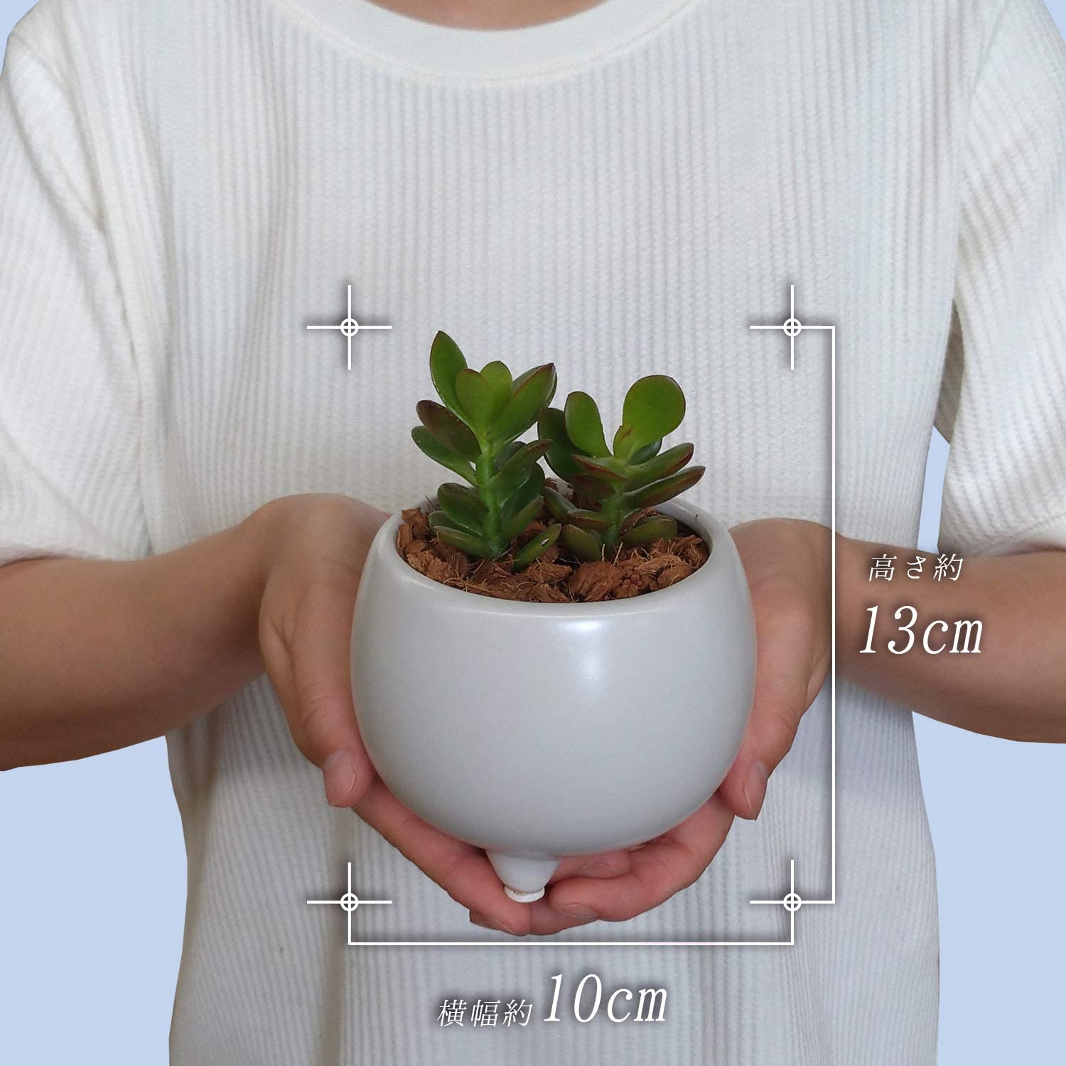 ����Τʤ��� ��Τʤ��� �ַ� ¿����ʪ ���տ�ʪ ȭ���� ������ �ץ쥼���