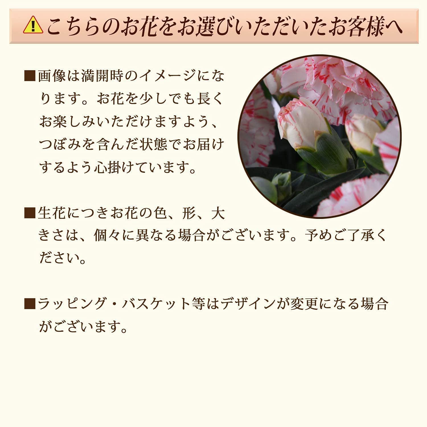 ����� �� ȭ���� �����͡������ �ץ쥼��� ��ȭ ��������ե� ������Υץ쥼���