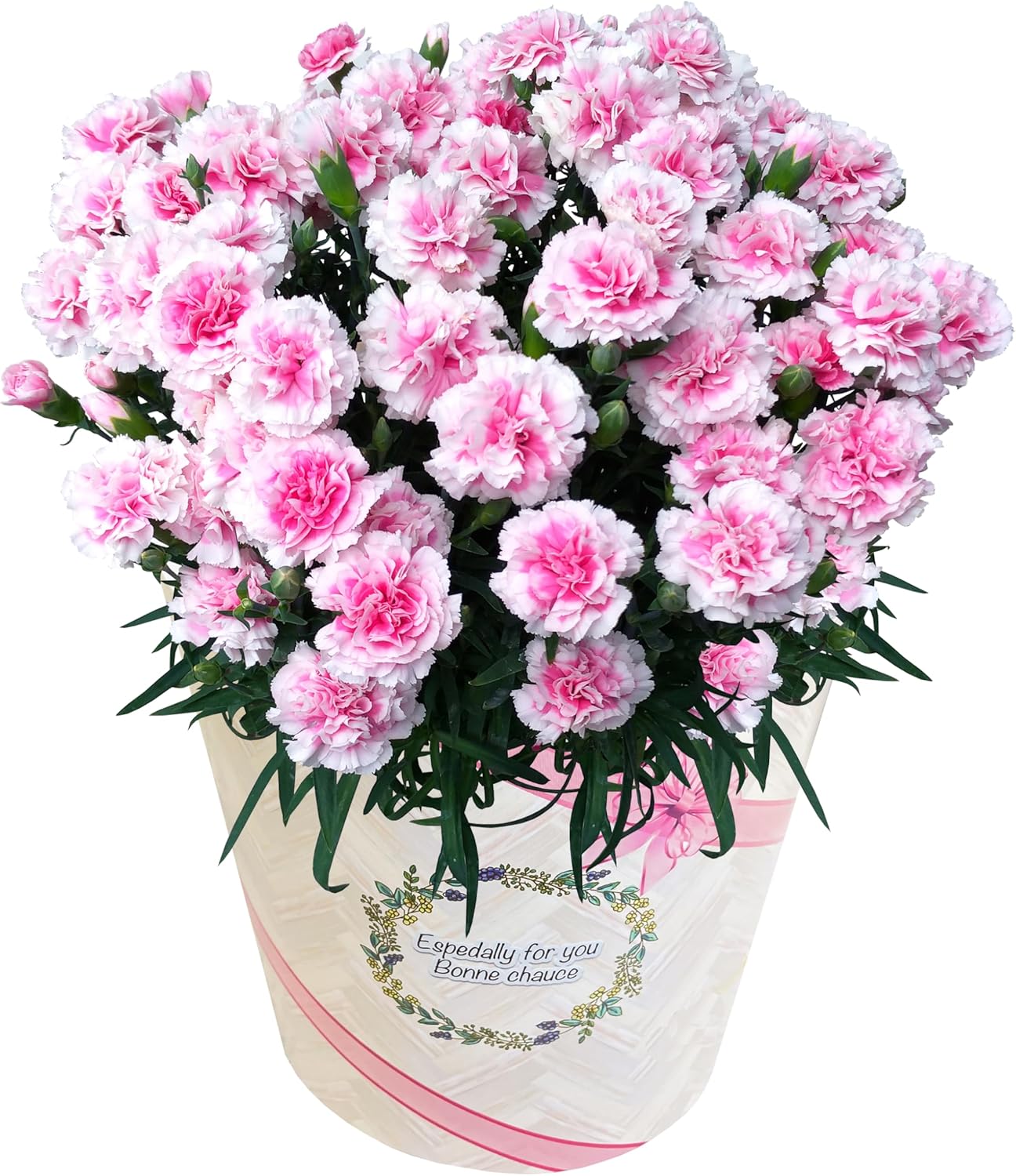 ����� �� ȭ���� �����͡������ �ץ쥼��� ��ȭ ��������ե� ������Υץ쥼���