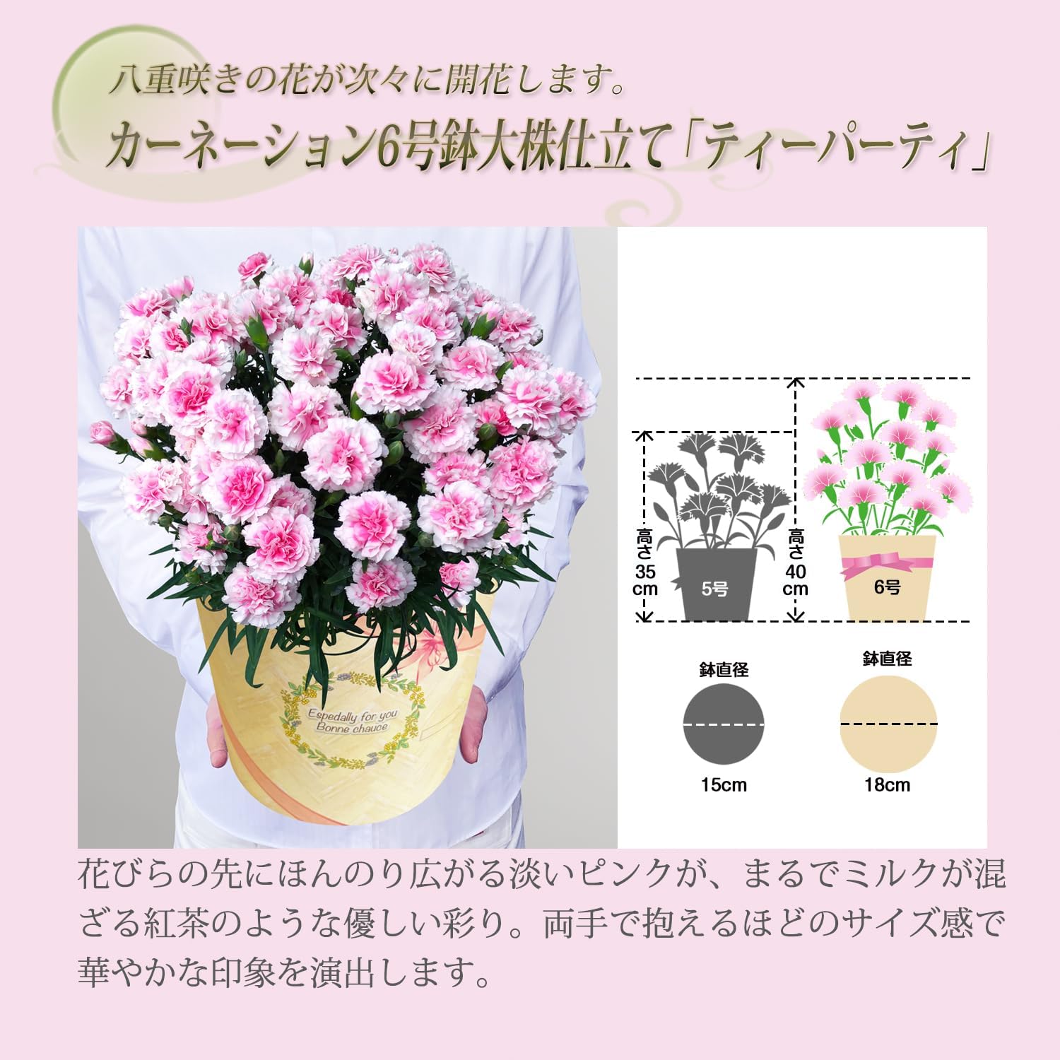 ����� �� ȭ���� �����͡������ �ץ쥼��� ��ȭ ��������ե� ������Υץ쥼���