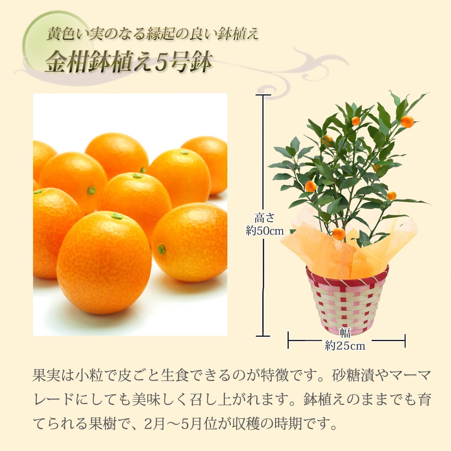 ⴻȭ פޤ ⴻ 󤫤ȭ 󤫤 󥫥 ⴻμ