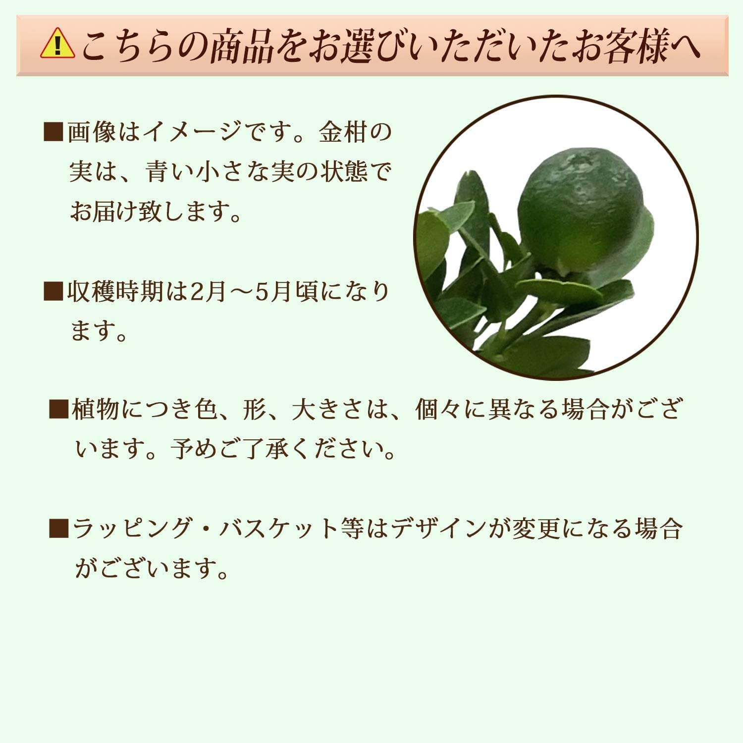 ⴻȭ פޤ ⴻ 󤫤ȭ 󤫤 󥫥 ⴻμ