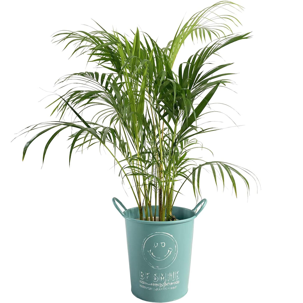 4_000000000873.png?1678209905