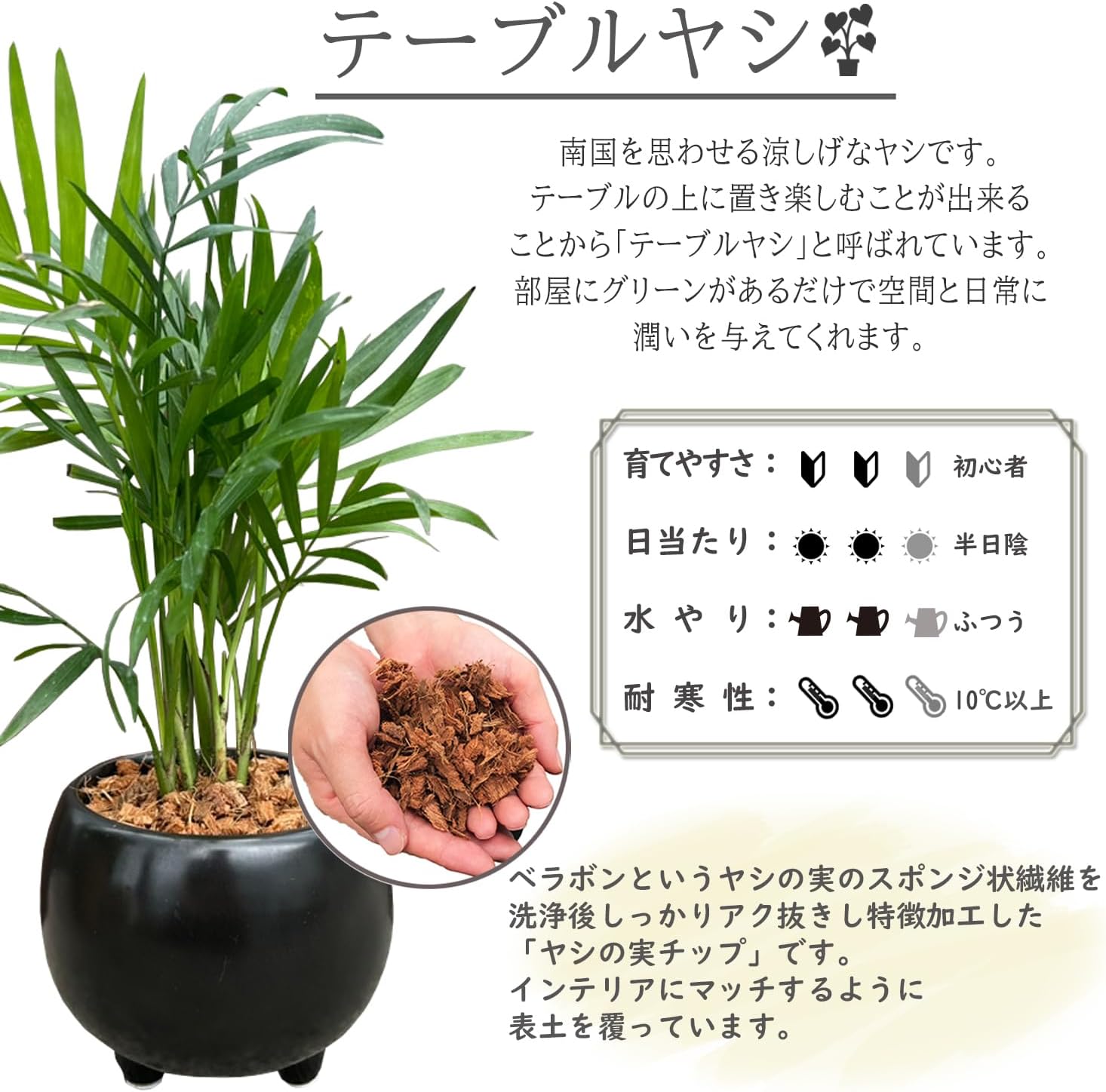 �ơ��֥�䥷 ���տ�ʪ ��ʪ �ߥ� �䥷 �䥷���� ���� ��ʪ �ߥ˴��տ�ʪ ȭ��