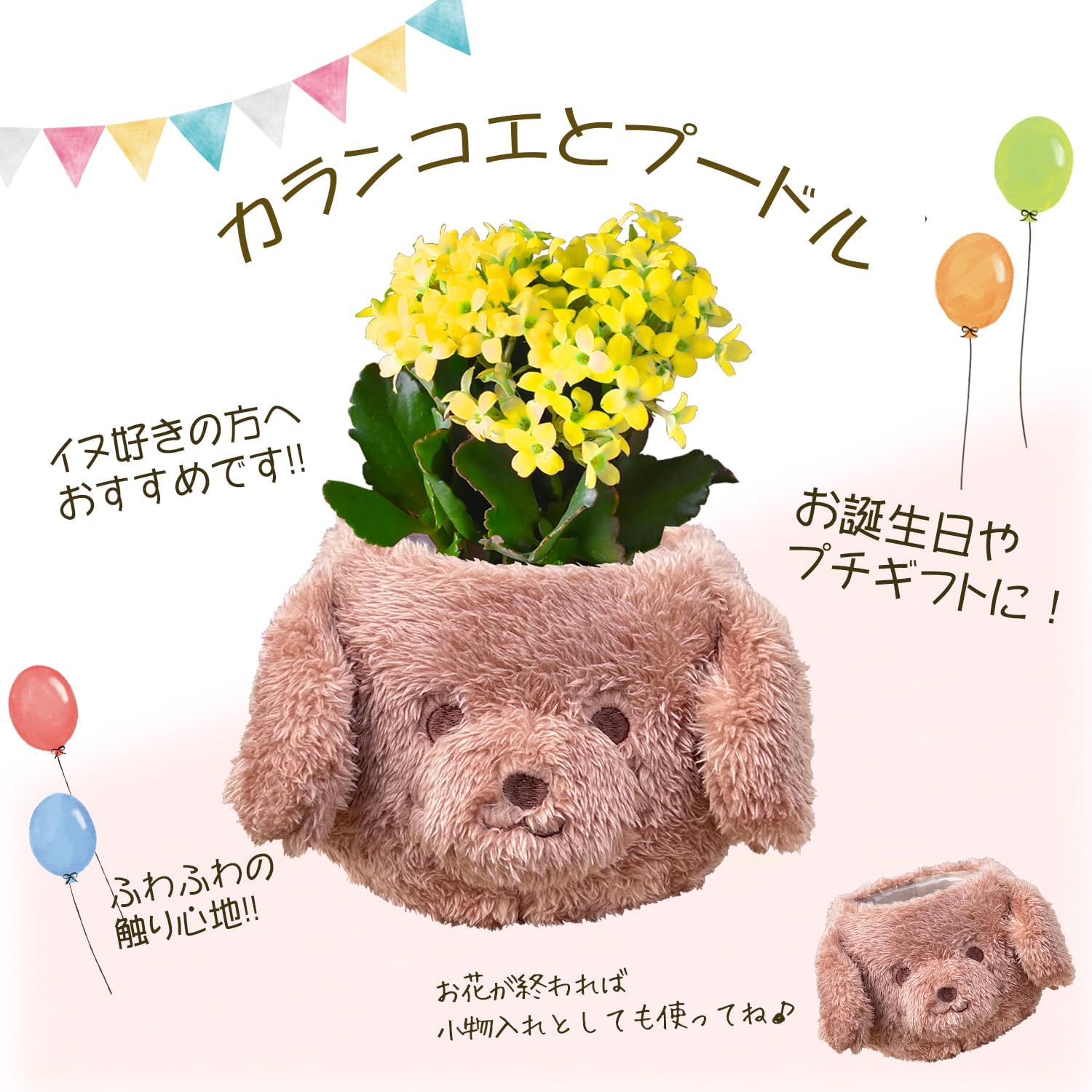 ����󥳥� �� ȭ���� �ץ쥼��� ���ե� ������ ���ˤ� ��ȭ ȭ�� �ȥ��ס��ɥ�