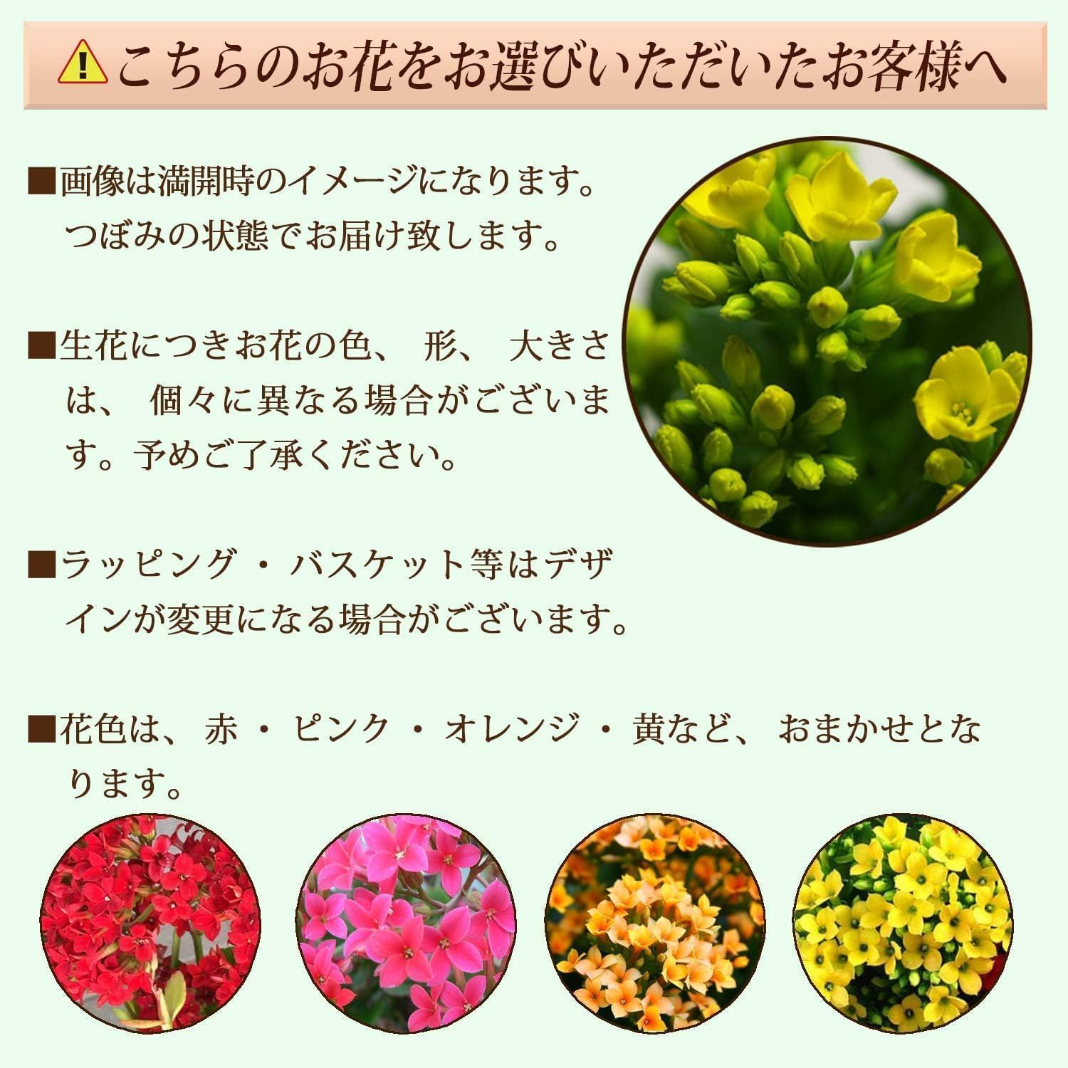 ����󥳥� �� ȭ���� �ץ쥼��� ���ե� ������ ���ˤ� ��ȭ ȭ�� �ȥ��ס��ɥ�