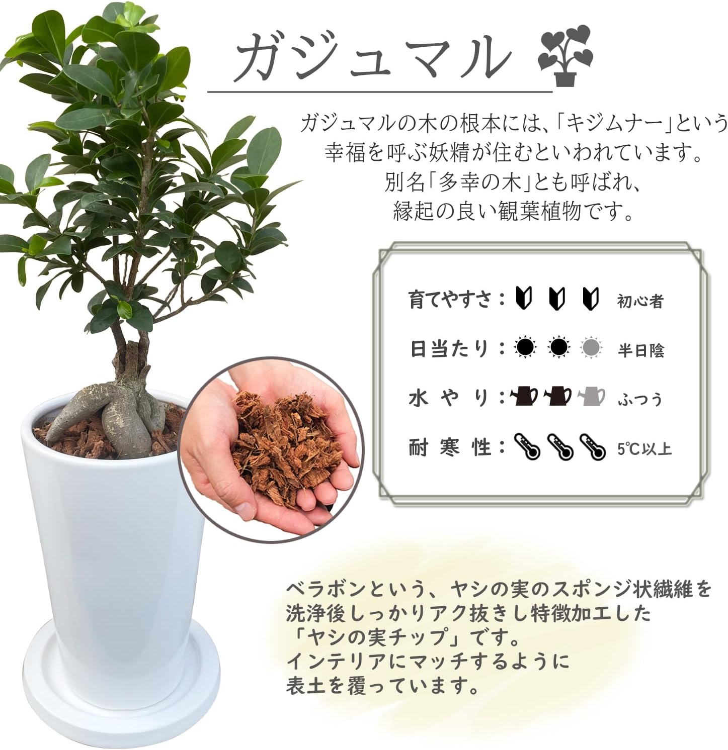 ������ޥ� ������ޥ���� ���տ�ʪ ��ʪ ������ޤ� ������ޥ�ȭ���� ���� ƫ��