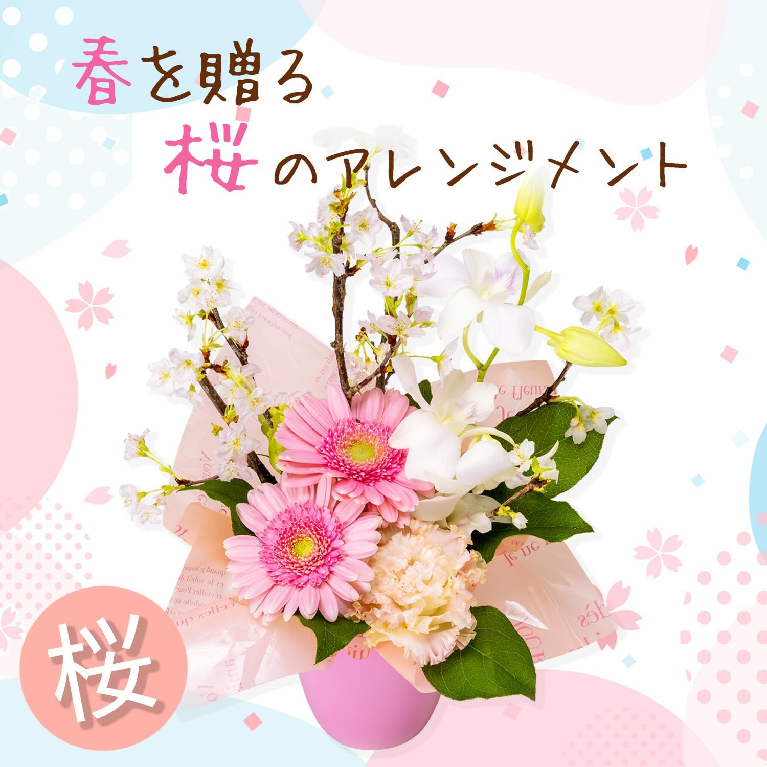 �� ����󥸥��� ����� ������ �ץ쥼��� ������ �ԥ� ���ե� �� ����