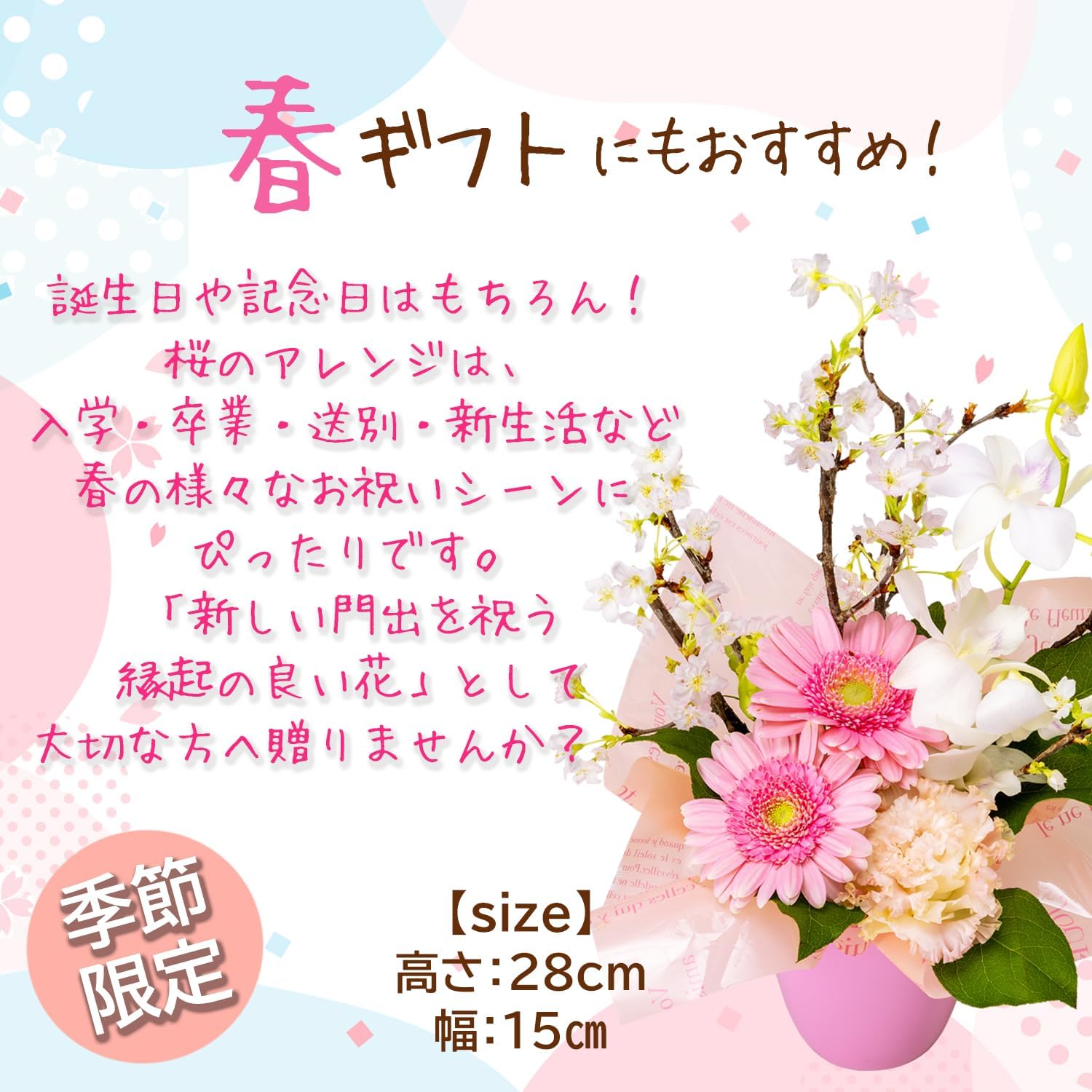 �� ����󥸥��� ����� ������ �ץ쥼��� ������ �ԥ� ���ե� �� ����