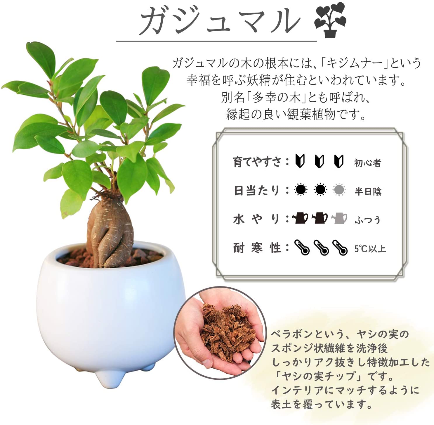 ������ޥ�ȭ���� 2�ĥ��å� ¿������ ������ޥ� �뺧�� �ߥ˴��տ�ʪ