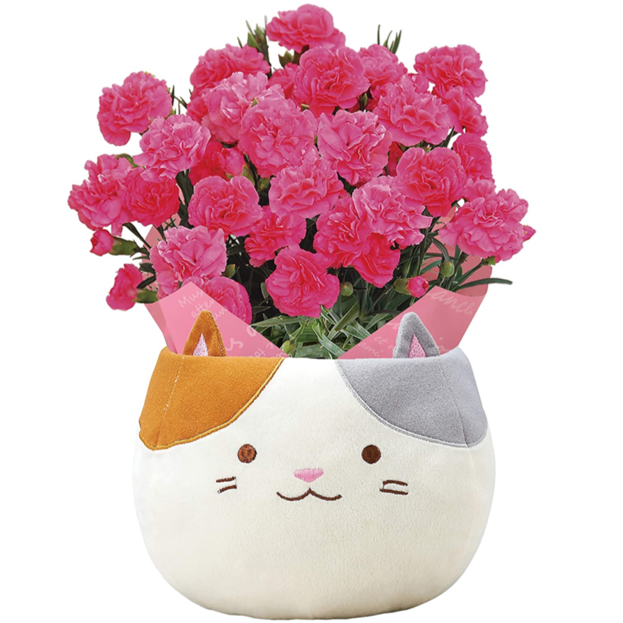 ����� �� ȭ���� �����͡������ �ץ쥼��� ��ȭ ��������ե� ������Υץ쥼���