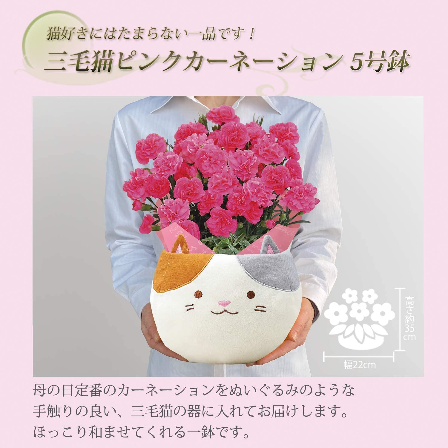 ����� �� ȭ���� �����͡������ �ץ쥼��� ��ȭ ��������ե� ������Υץ쥼���