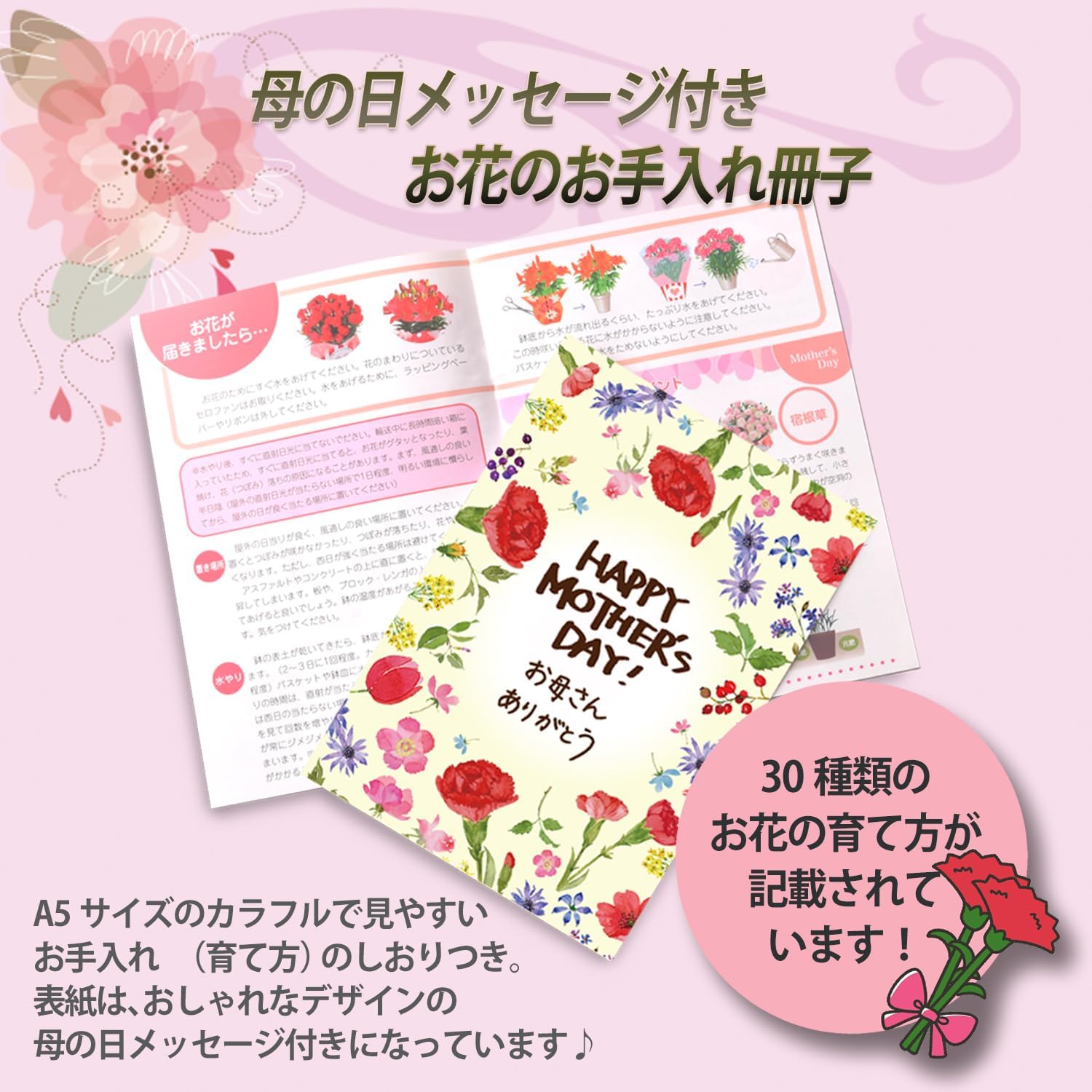 ����� �� ȭ���� �����͡������ �ץ쥼��� ��ȭ ��������ե� ������Υץ쥼���