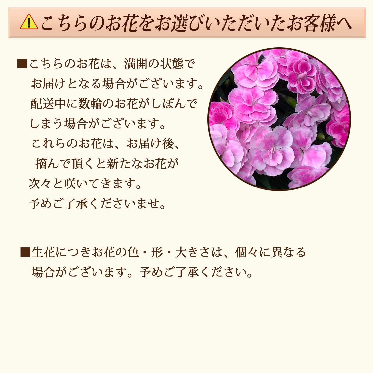 ����� �� ȭ���� �����͡������ �ץ쥼��� ��ȭ ��������ե� ������Υץ쥼���