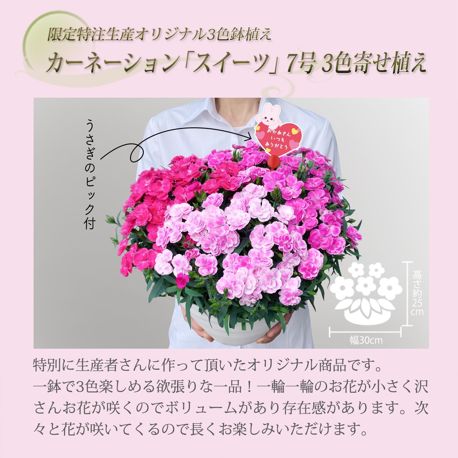 ����� �� ȭ���� �����͡������ �ץ쥼��� ��ȭ ��������ե� ������Υץ쥼���