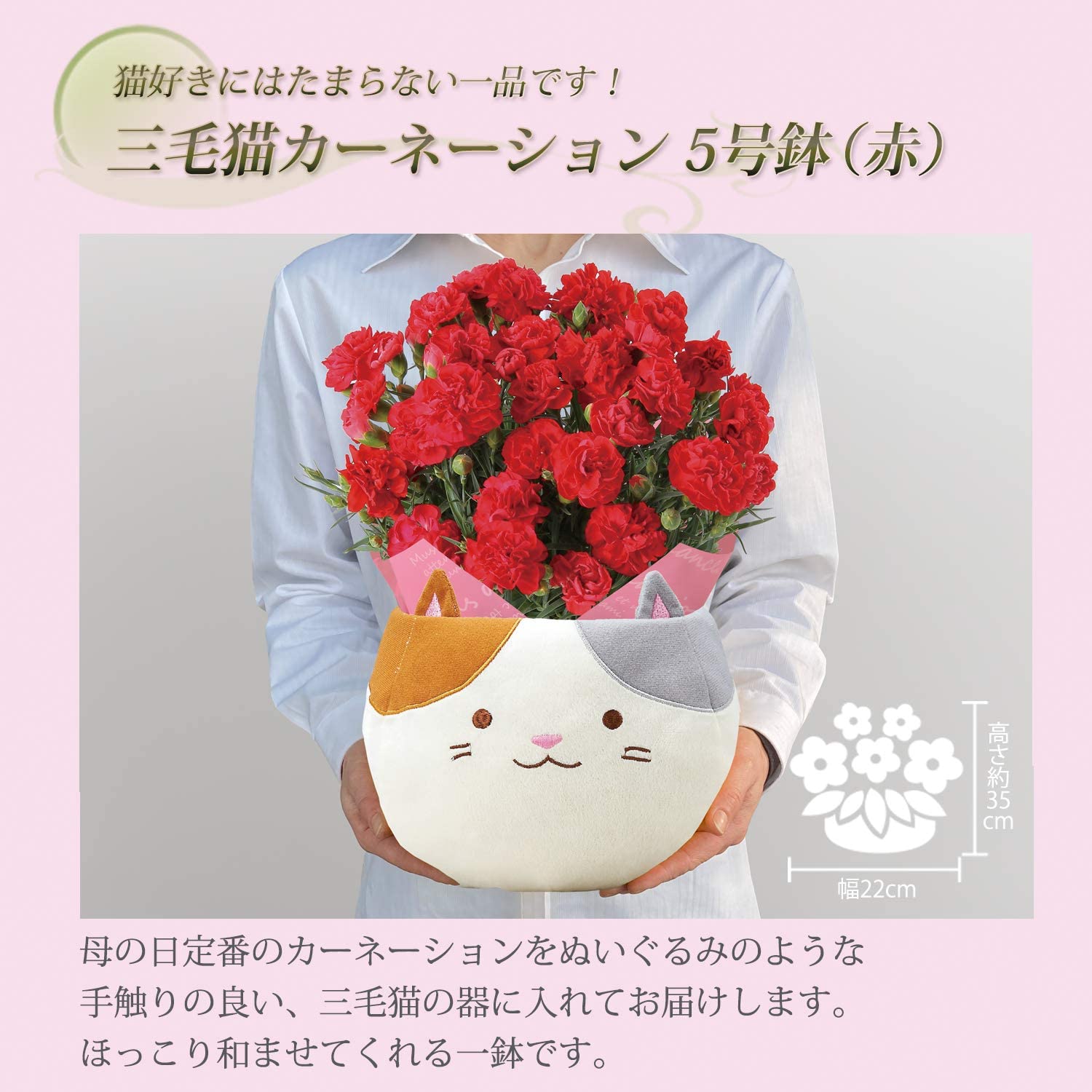 ����� �� ȭ���� �����͡������ �ץ쥼��� ��ȭ ��������ե� ������Υץ쥼���