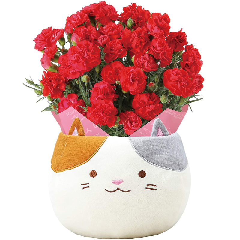 ����� �� ȭ���� �����͡������ �ץ쥼��� ��ȭ ��������ե� ������Υץ쥼���