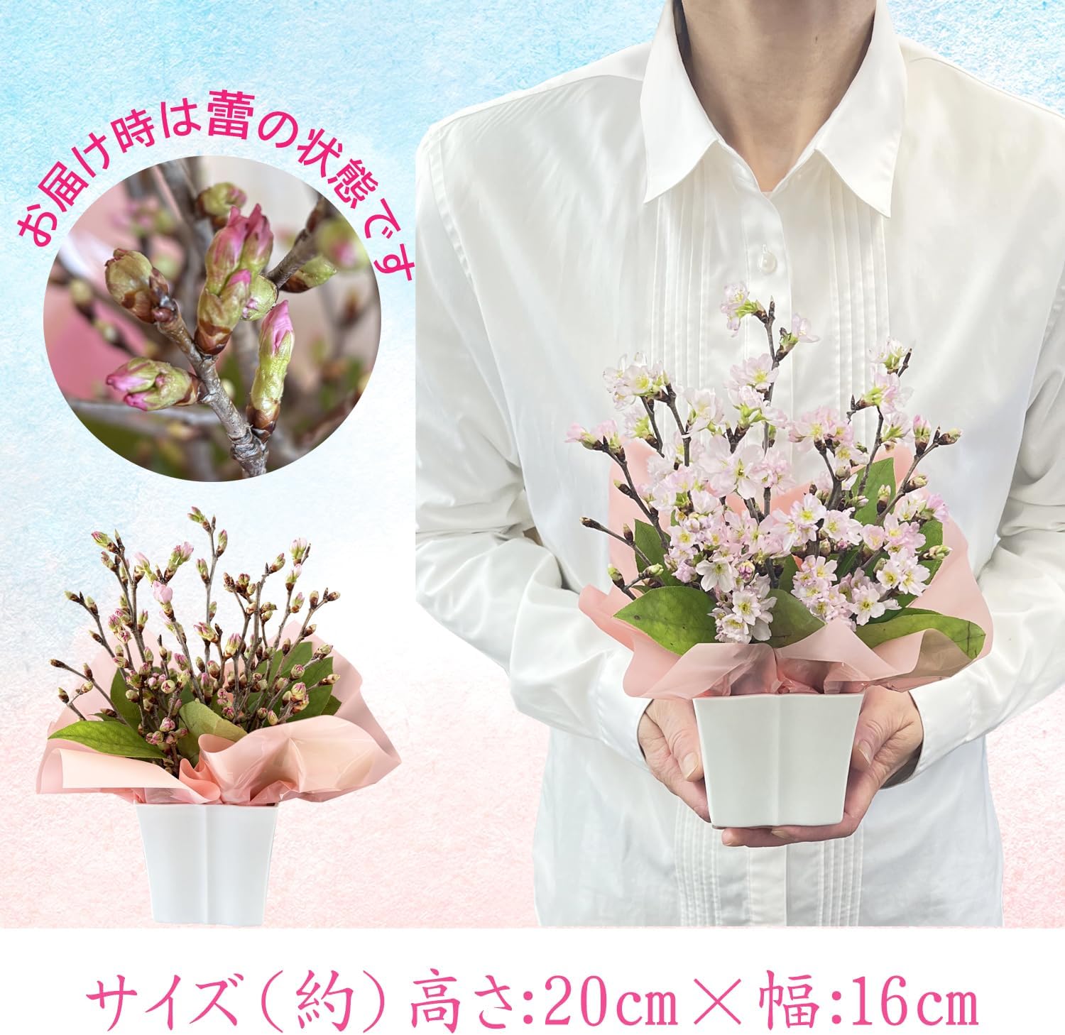 �� ������ ����󥸥��� ���ե� ����� ������ �ץ쥼��� ������ �� ���ˤ�