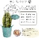 ���󥹥٥ꥢ 7��ȭ �ˤ������ ���տ�ʪ ����ƥꥢ ������ ��ǰ�� ��ӥ�