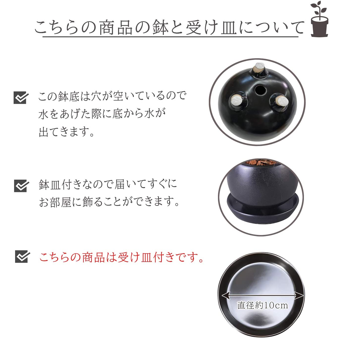 ������ޥ�ȭ���� 2�ĥ��å� ¿������ ������ޥ� �뺧�� �ߥ˴��տ�ʪ ȭ����