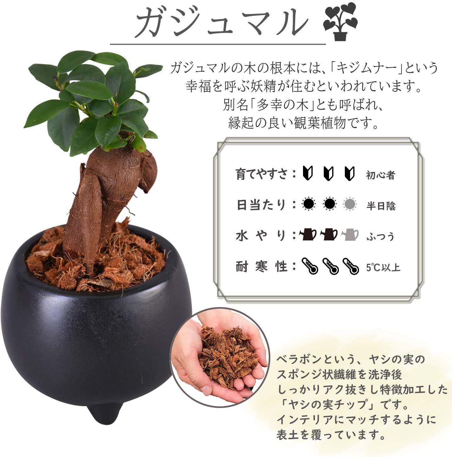 ������ޥ�ȭ���� 2�ĥ��å� ¿������ ������ޥ� �뺧�� �ߥ˴��տ�ʪ ȭ����