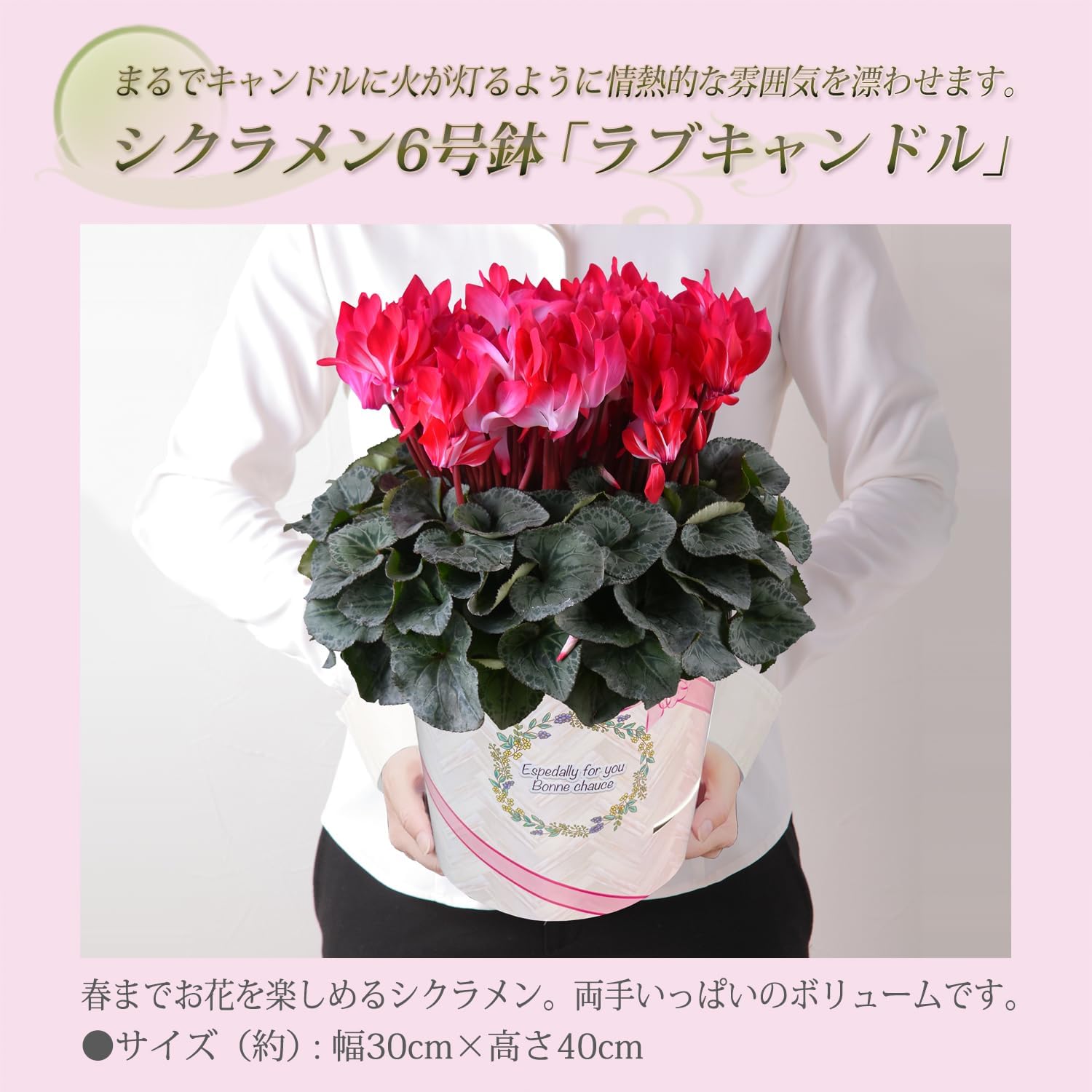 �������� ���ե� �ץ쥼��� �� ȭ���� ȭ�� ������ 6��ȭ �� ��֥����ɥ�