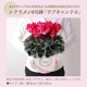 �������� ���ե� �ץ쥼��� �� ȭ���� ȭ�� ������ 6��ȭ �� ��֥����ɥ�