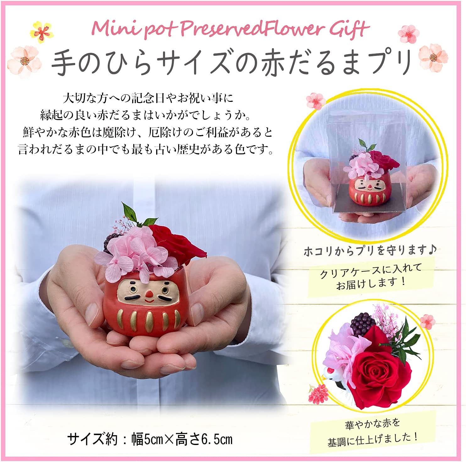 �ץꥶ���֥ɥե� ������ �� �ץ쥼��� ���� �������� �²ۻ� ���ե�