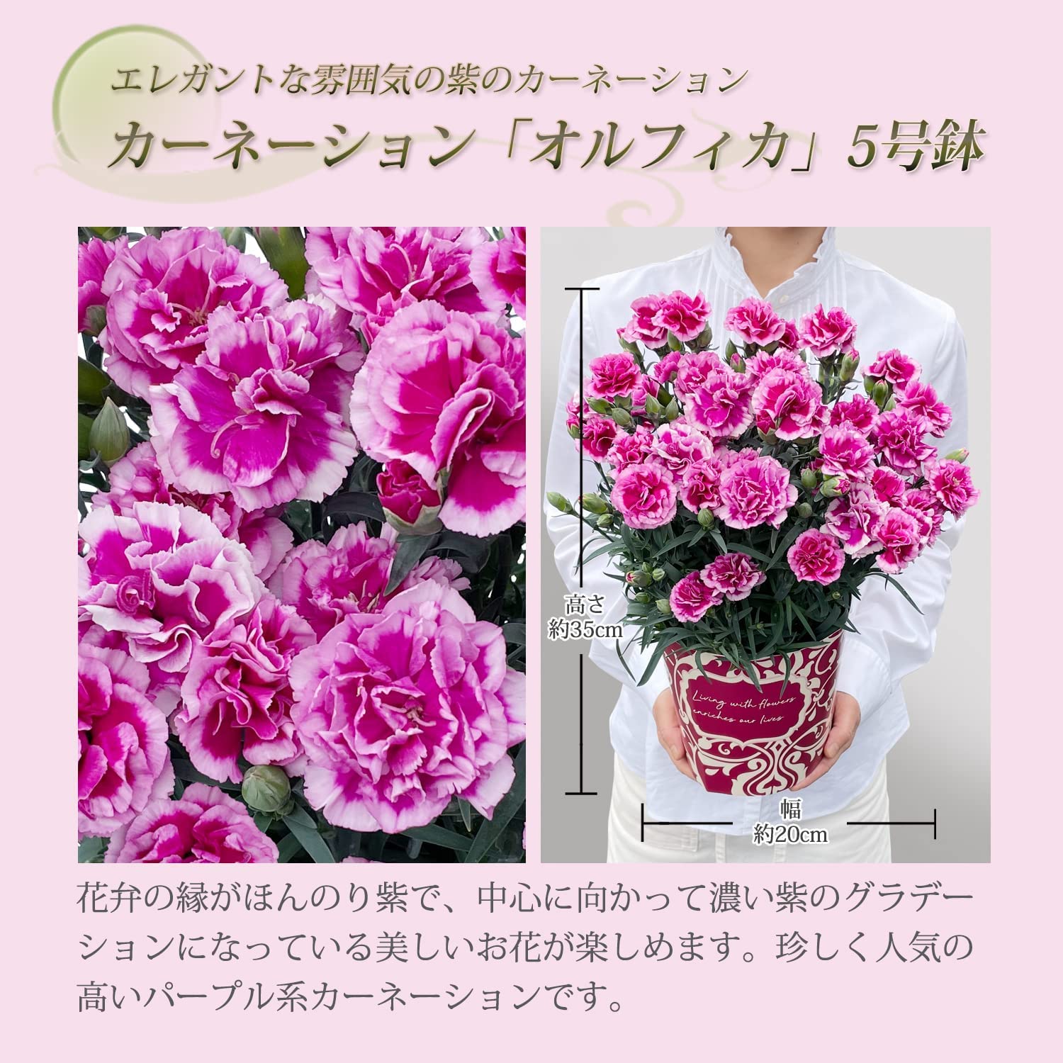 ����� �� ȭ���� �����͡������ �ץ쥼��� ��ȭ ��������ե� ������Υץ쥼���