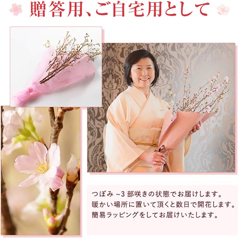 か*ん様 桜の花 記念メダル　3種セット 商品詳細 (純金メダル－植物－コレクション（桜花）)