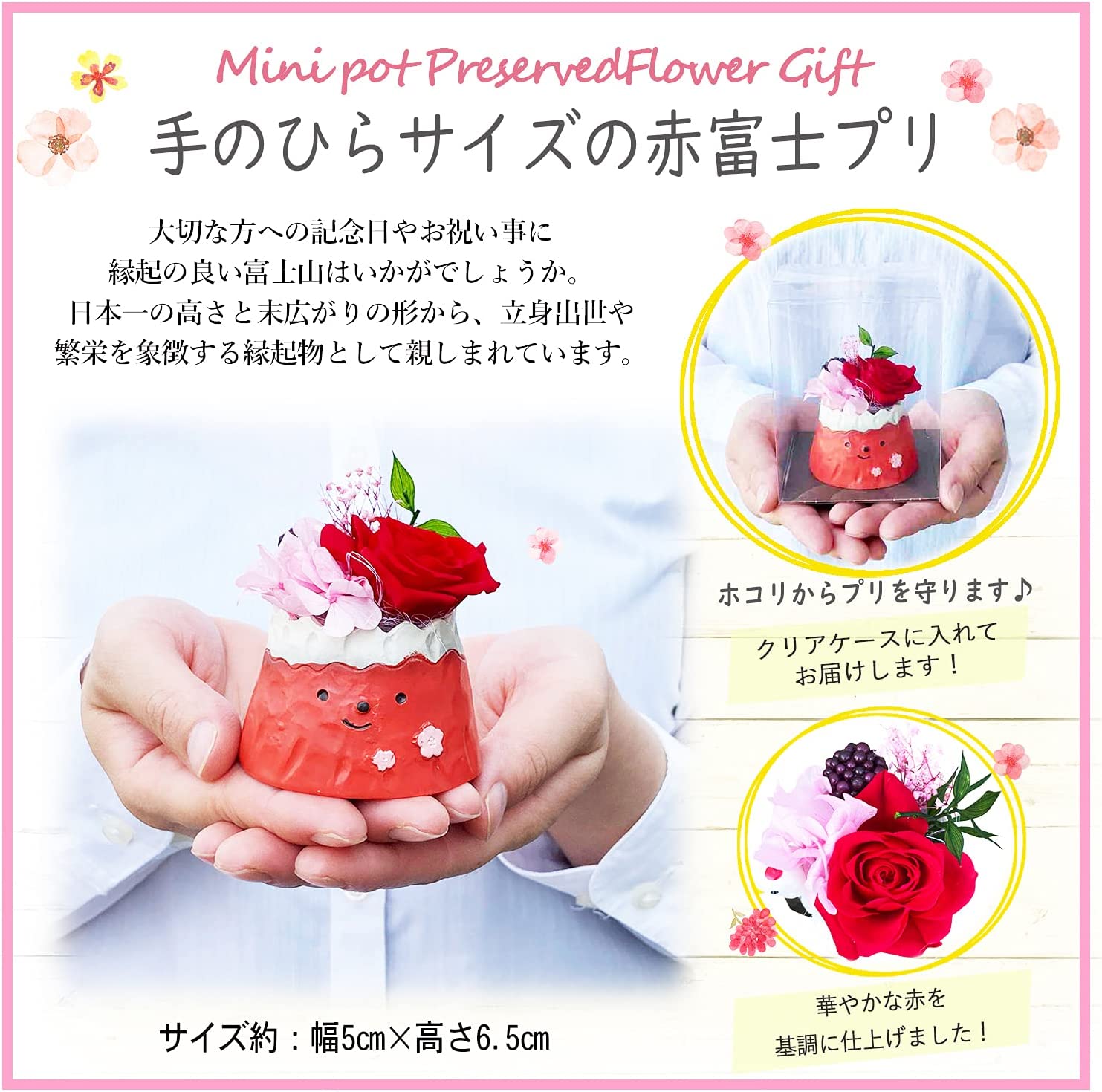 �ץꥶ���֥ɥե� ������ �� �ץ쥼��� ���� ���ۻ� �������� �²ۻ� ���ե� ������