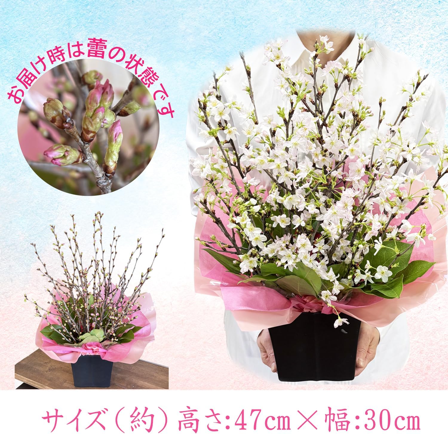 �� ����󥸥��� ���ե� ����� ������ �ץ쥼��� ������ �� ���� ������