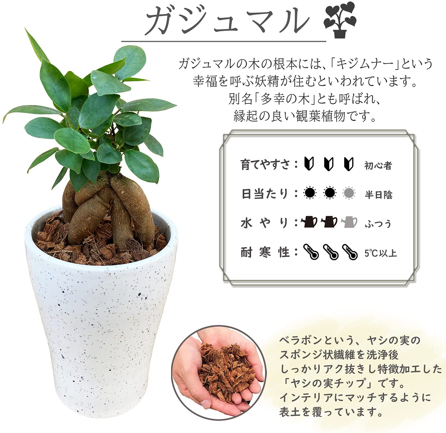 ������ޥ���� ������ޥ�ȭ���� ¿������ ������ޥ� ������ޤ� �ߥ˴��տ�ʪ ����