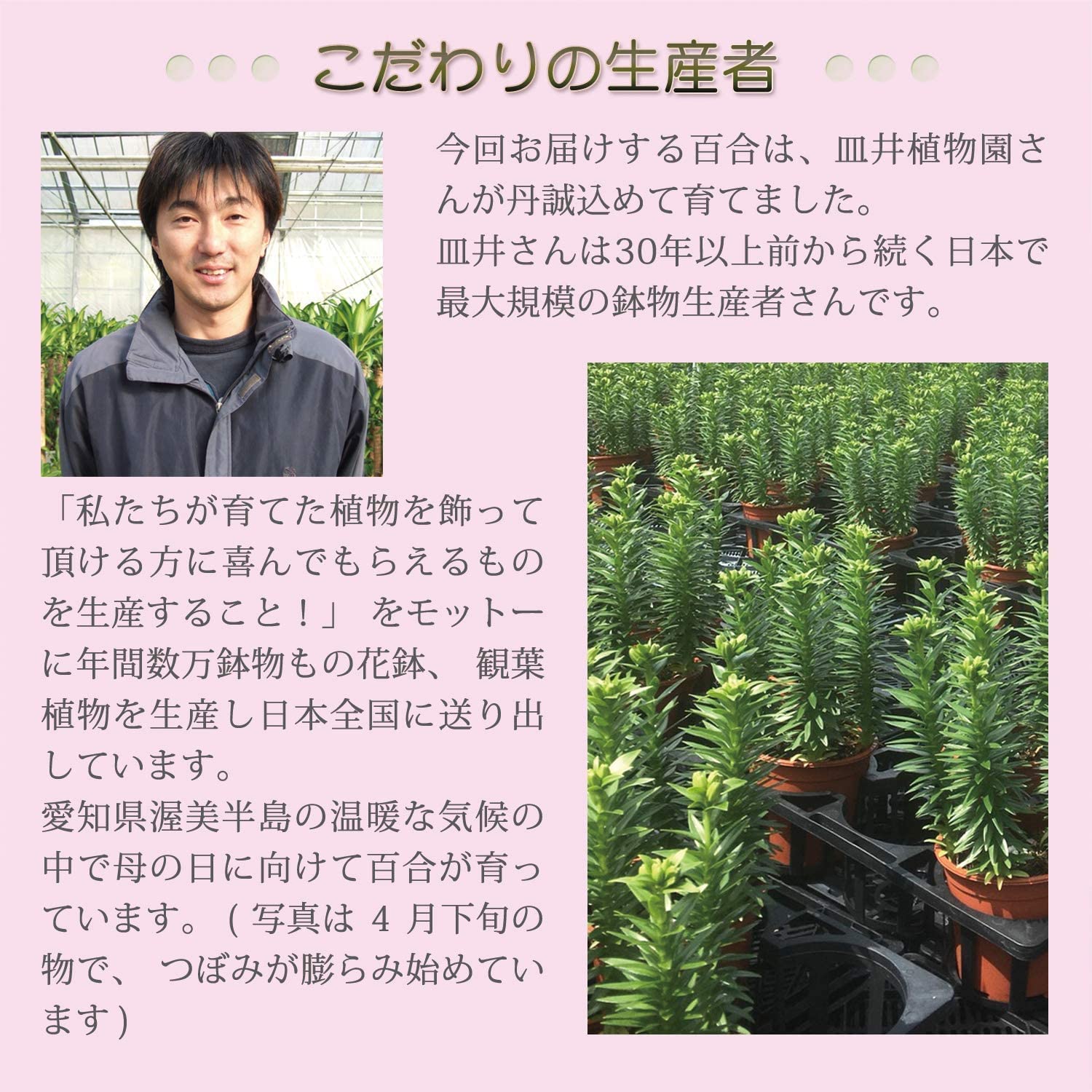 ����� �� ȭ���� ��� ��� ɴ�� �ץ쥼��� ��ȭ ��������ե� ������ץ쥼���