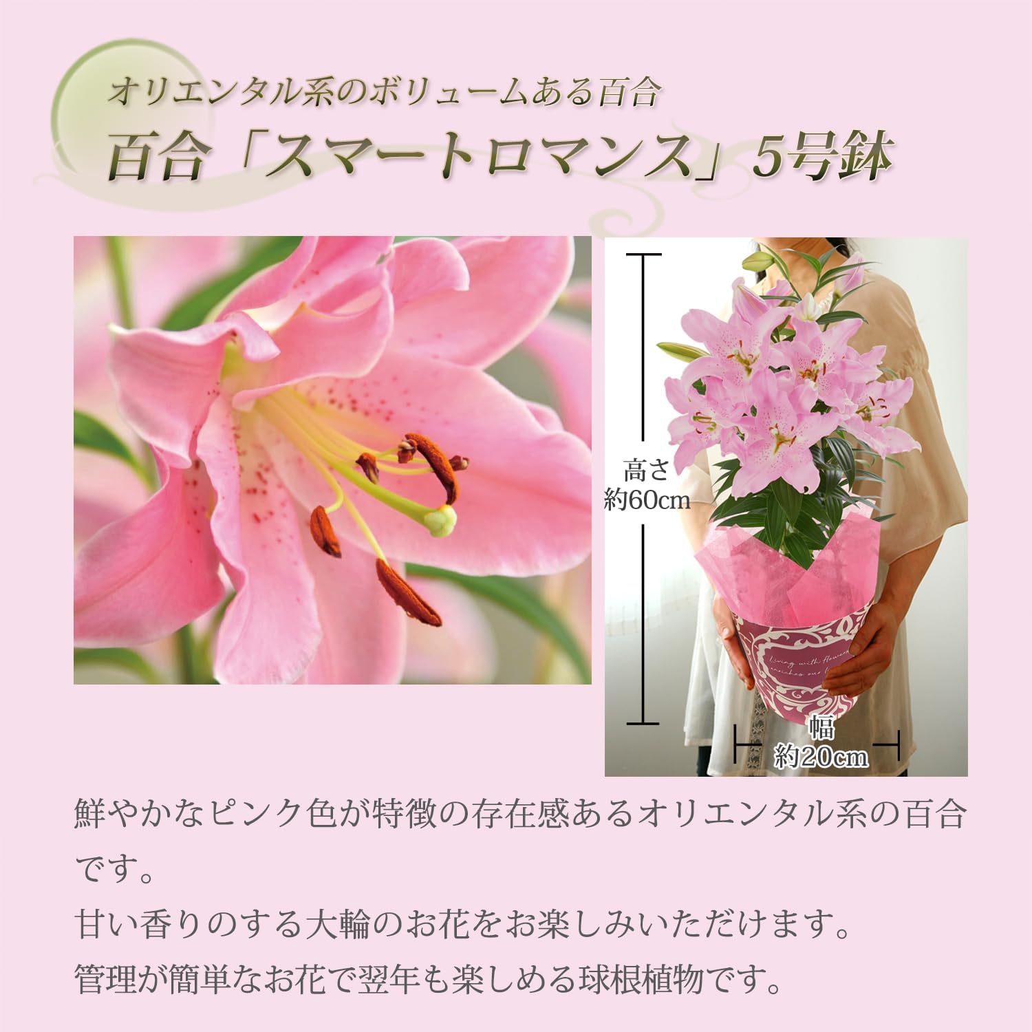 ����� �� ȭ���� ��� ��� ɴ�� �ץ쥼��� ��ȭ ��������ե� ������ץ쥼���