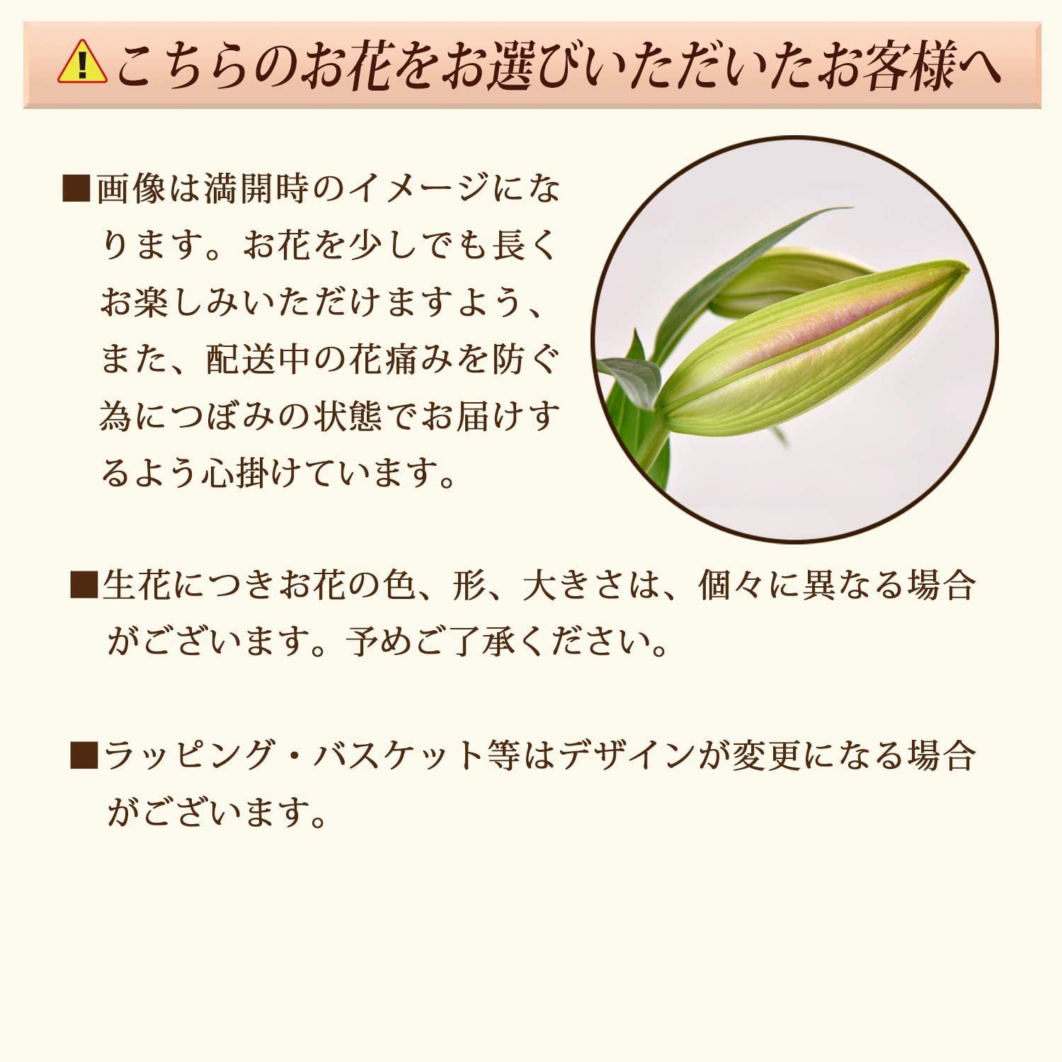 ����� �� ȭ���� ��� ��� ɴ�� �ץ쥼��� ��ȭ ��������ե� ������ץ쥼���