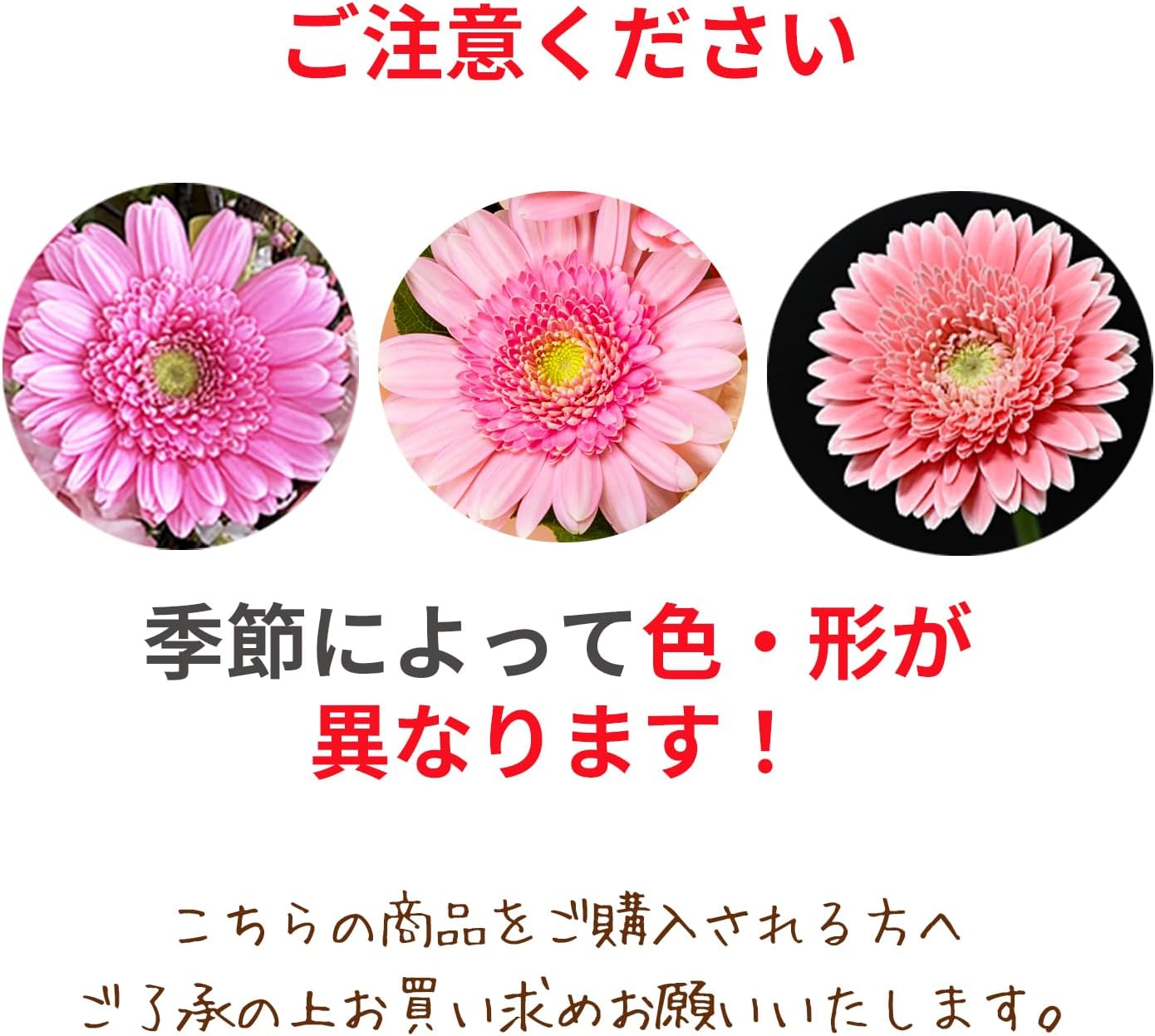 �� ����󥸥��� ����� �ԥ� ���ե� ������ �ץ쥼��� ������ �� ����