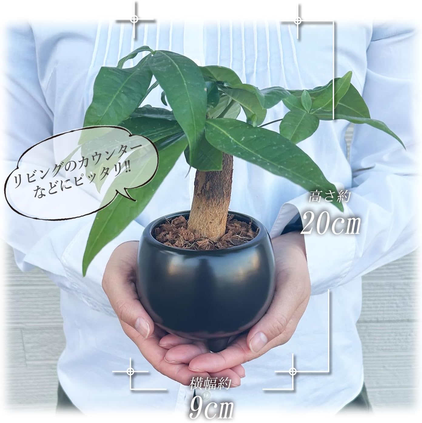 �ѥ��� ȯ��� 2�� ƫ�� ȭ���� ���տ�ʪ �ߥ˴��� �ѥ������ ȯ��� ƫ�� ��