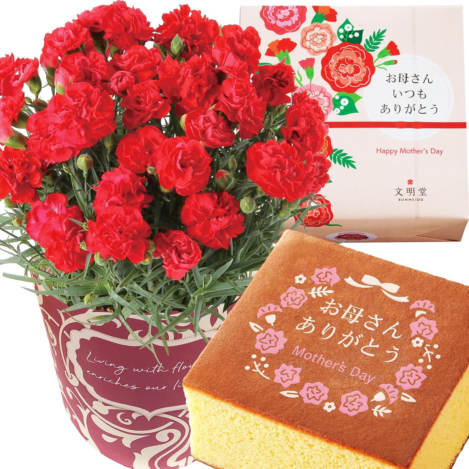 母の日 花とスイーツ 花 鉢植え カーネーション 花鉢 プレゼント お