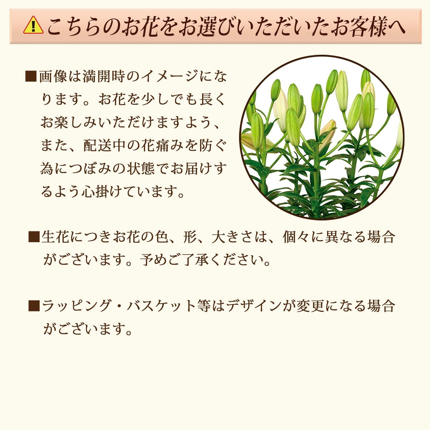 ����� �� ȭ���� ��� ��� ɴ�� �ץ쥼��� ��ȭ ��������ե� ������ץ쥼���