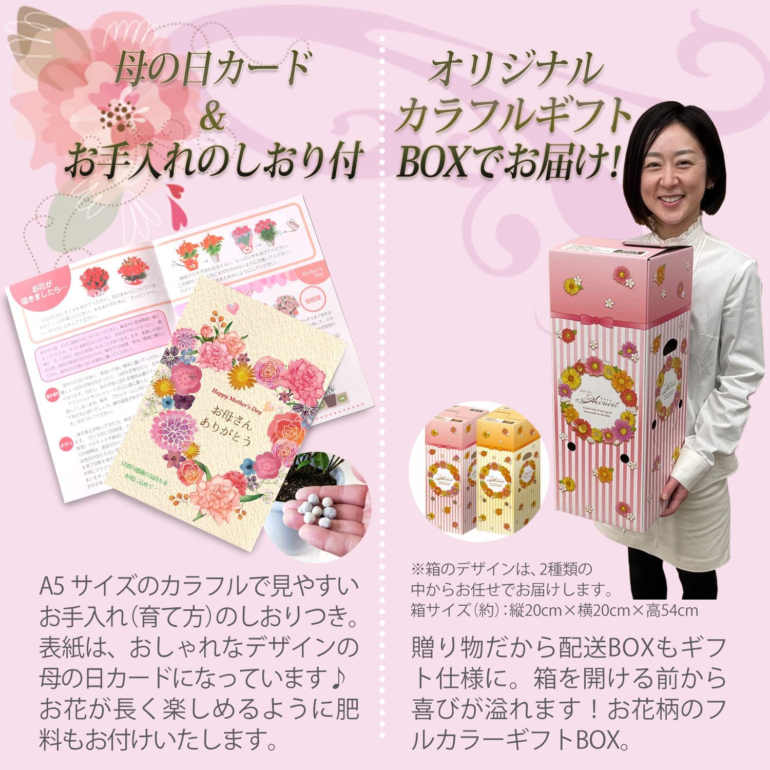 ����� �� ȭ���� ��� ��� ɴ�� �ץ쥼��� ��ȭ ��������ե� ������ץ쥼���