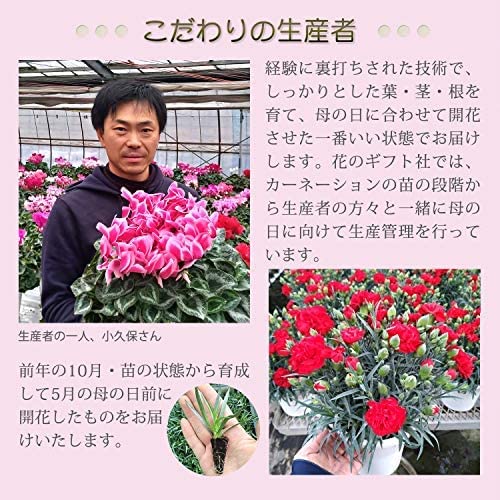 ����� �� ȭ���� �����͡������ �ץ쥼��� ��ȭ ��������ե� ������Υץ쥼���