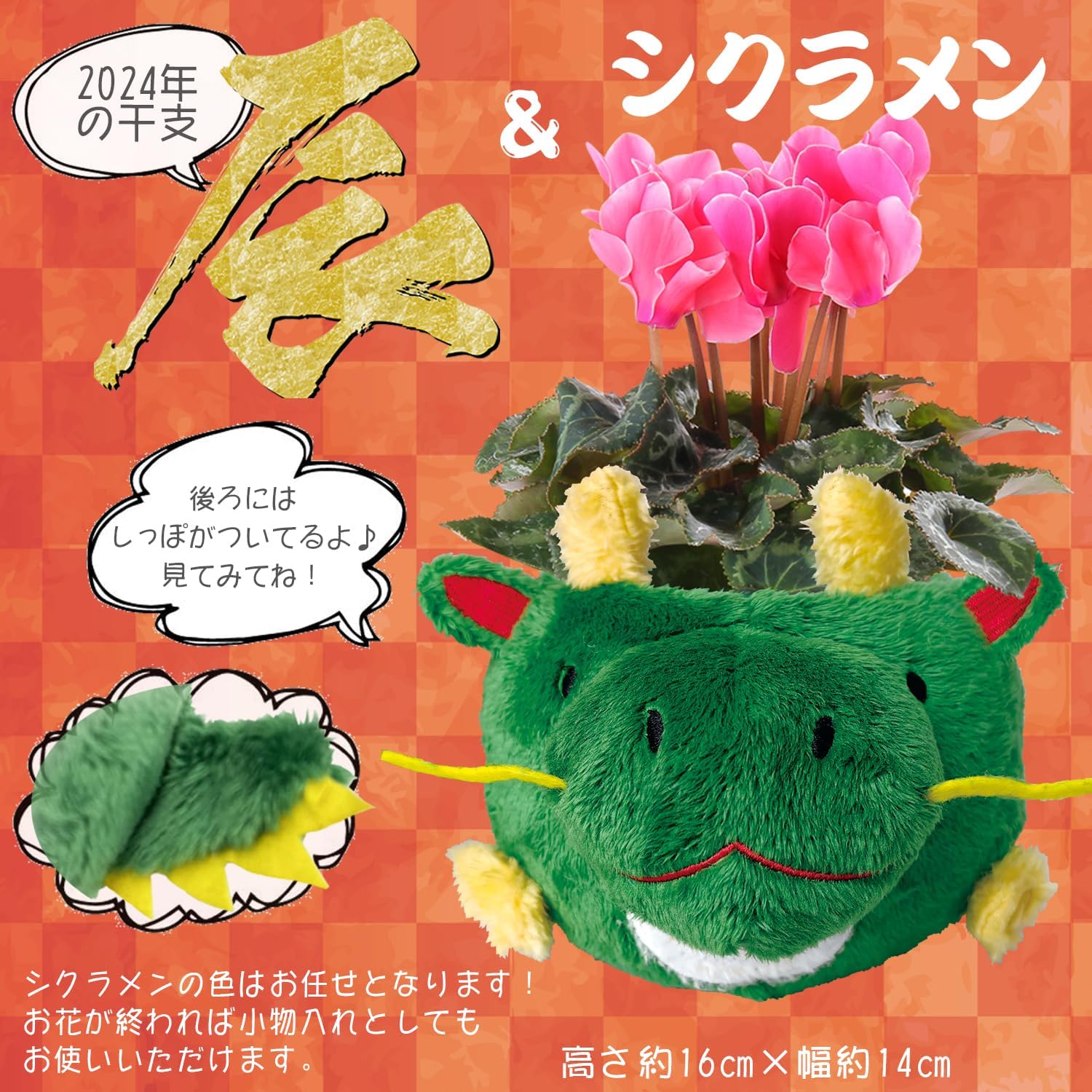 �ץ쥼��� ���ե� �����ǥ󥷥����� �� ��������ȭ���� ���� ä ������