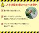 �ϥ��ӥ����� ȭ���� �� ���� ��ʪ ������ �� �ץ쥼��� ���ե� �� �ߥ������