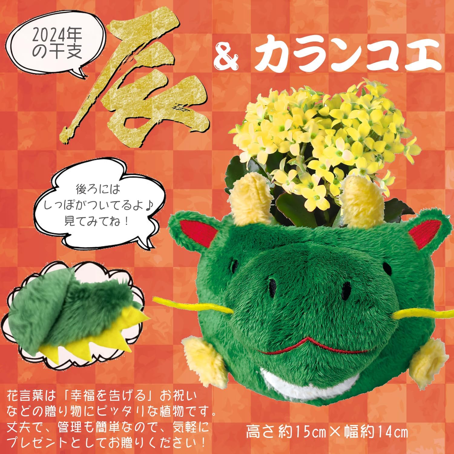 ����󥳥� �� ��ʪ ȭ���� �ץ쥼��� ���ե� ������ ���ˤ� ���� ��ȭ ȭ�� ä