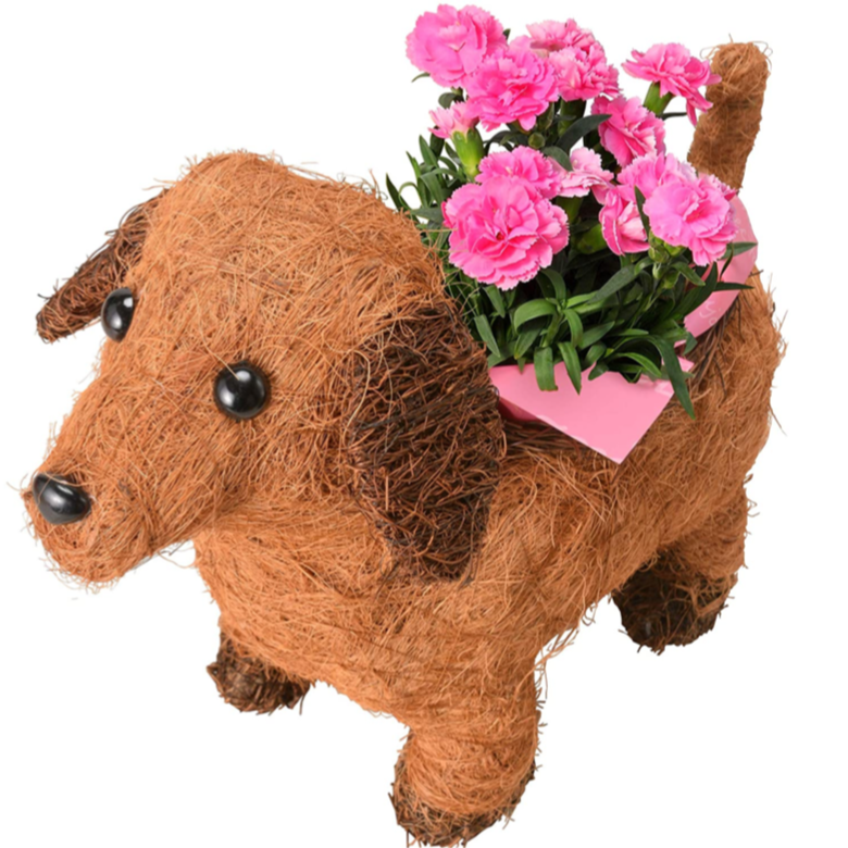 ����� �� ȭ���� �����͡������ �ץ쥼��� ��ȭ ��������ե� ������Υץ쥼���