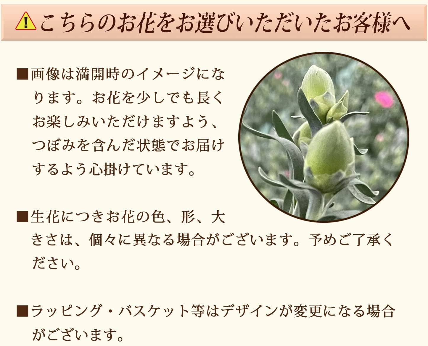 ����� �� ȭ���� �����͡������ �ץ쥼��� ��ȭ ��������ե� ������Υץ쥼���