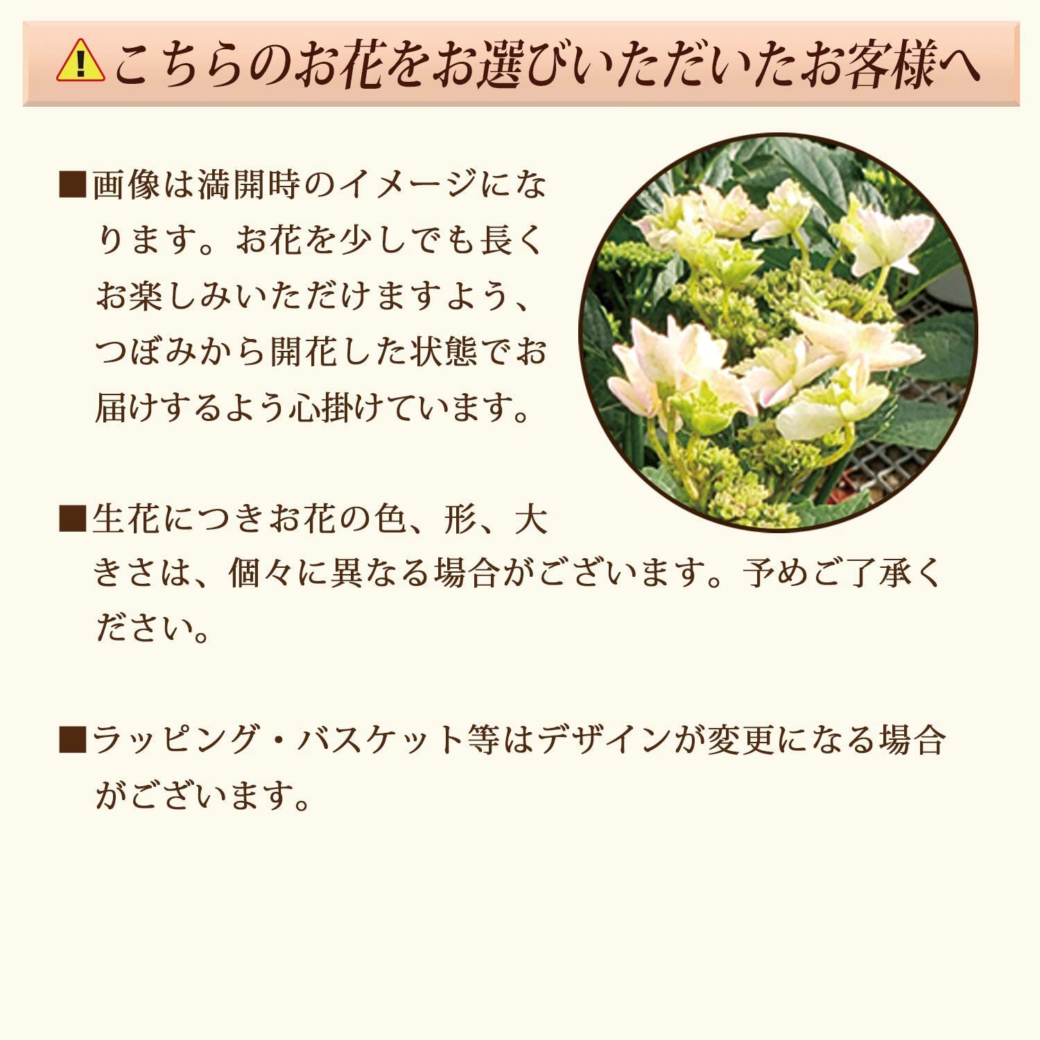 ����� �� ȭ���� �������� ���۲� �������� �ץ쥼��� ��ȭ ���� ��������ե�