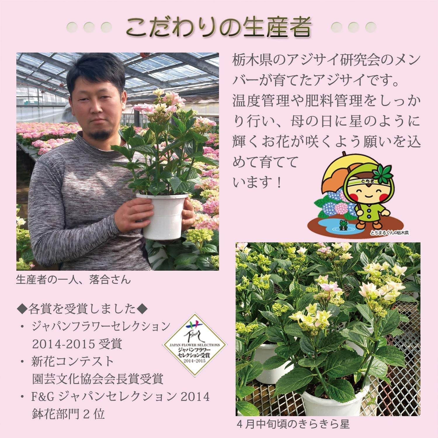 ����� �� ȭ���� �������� ���۲� �������� �ץ쥼��� ��ȭ ���� ��������ե�