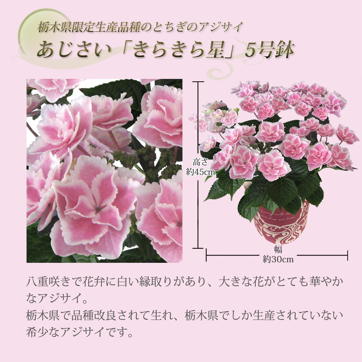 ����� �� ȭ���� �������� ���۲� �������� �ץ쥼��� ��ȭ ���� ��������ե�